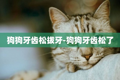 狗狗牙齒松拔牙-狗狗牙齒松了
