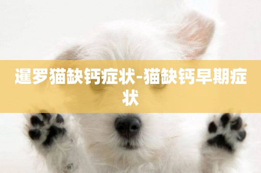 暹羅貓缺鈣癥狀-貓缺鈣早期癥狀