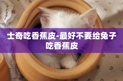 士奇吃香蕉皮-最好不要給兔子吃香蕉皮