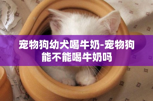 寵物狗幼犬喝牛奶-寵物狗能不能喝牛奶嗎
