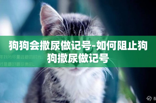 狗狗會撒尿做記號-如何阻止狗狗撒尿做記號