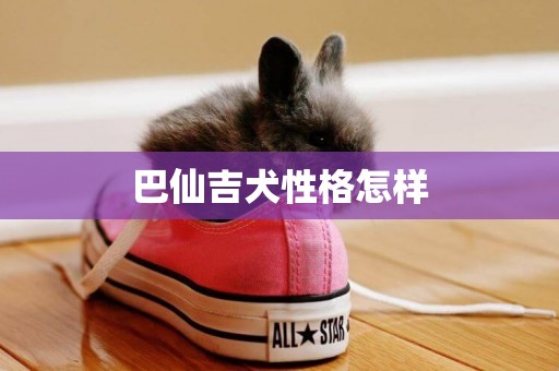 巴仙吉犬性格怎樣