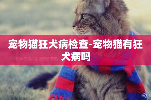 寵物貓狂犬病檢查-寵物貓有狂犬病嗎