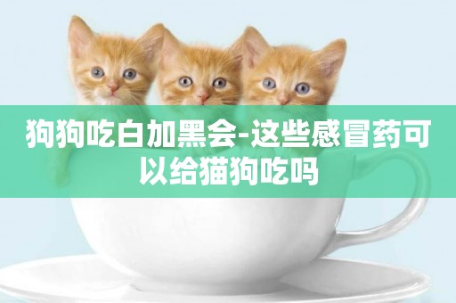 狗狗吃白加黑會-這些感冒藥可以給貓狗吃嗎