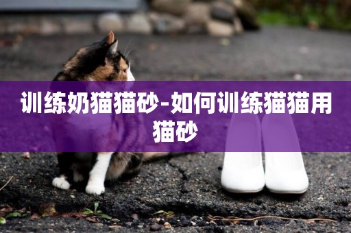 訓練奶貓貓砂-如何訓練貓貓用貓砂