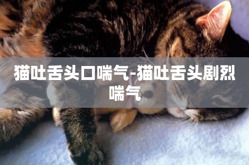 貓吐舌頭口喘氣-貓吐舌頭劇烈喘氣