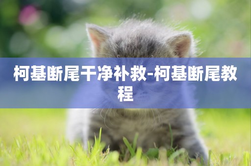 柯基斷尾干凈補救-柯基斷尾教程