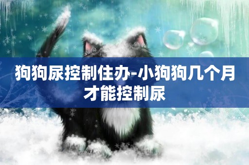 狗狗尿控制住辦-小狗狗幾個月才能控制尿