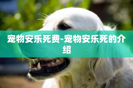 寵物安樂死費-寵物安樂死的介紹