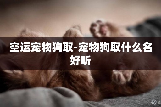 空運寵物狗取-寵物狗取什么名好聽