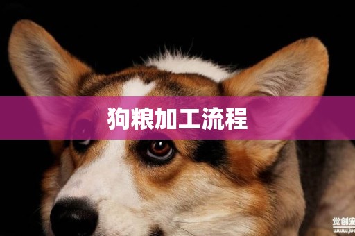 狗糧加工流程