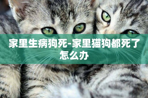 家里生病狗死-家里貓狗都死了怎么辦