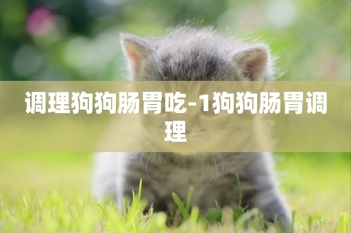 調理狗狗腸胃吃-1狗狗腸胃調理