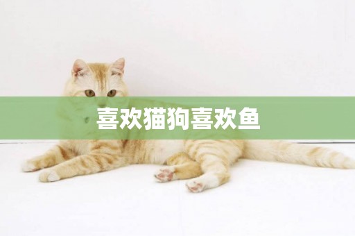 喜歡貓狗喜歡魚