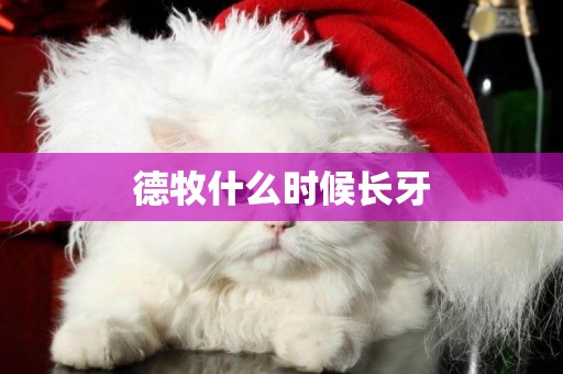 德牧什么時候長牙