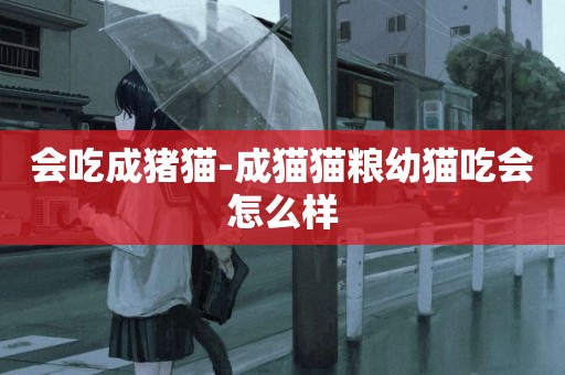 會吃成豬貓-成貓貓糧幼貓吃會怎么樣