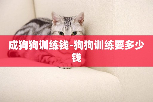 成狗狗訓練錢-狗狗訓練要多少錢