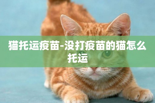 貓托運疫苗-沒打疫苗的貓怎么托運