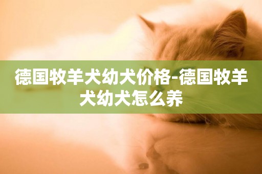 德國牧羊犬幼犬價格-德國牧羊犬幼犬怎么養