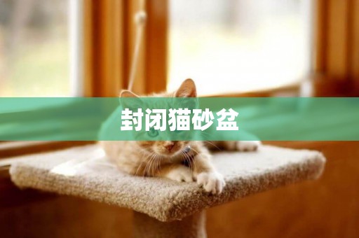 封閉貓砂盆
