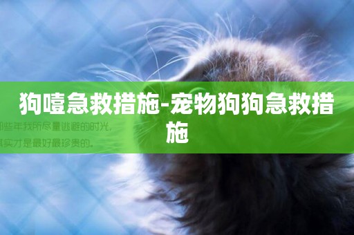 狗噎急救措施-寵物狗狗急救措施
