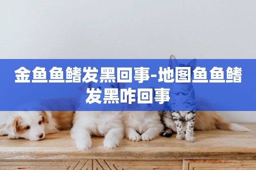 金魚魚鰭發黑回事-地圖魚魚鰭發黑咋回事
