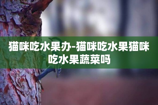 貓咪吃水果辦-貓咪吃水果貓咪吃水果蔬菜嗎