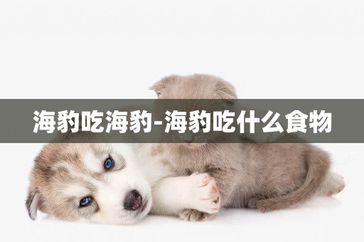 海豹吃海豹-海豹吃什么食物