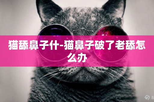 貓舔鼻子什-貓鼻子破了老舔怎么辦