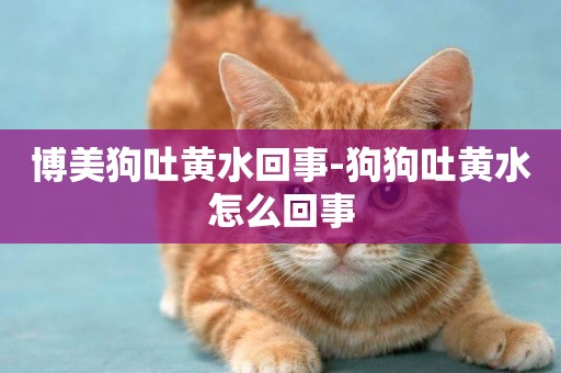 博美狗吐黃水回事-狗狗吐黃水怎么回事