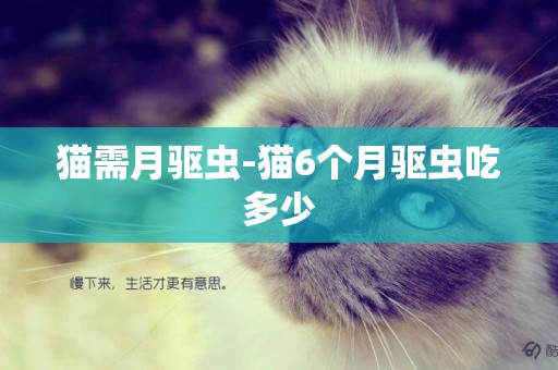 貓需月驅蟲-貓6個月驅蟲吃多少