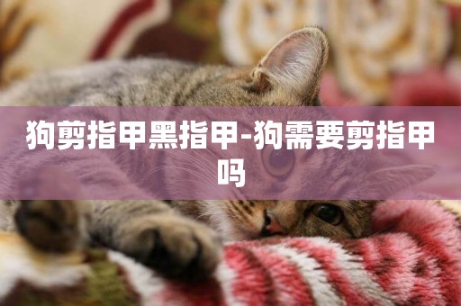 狗剪指甲黑指甲-狗需要剪指甲嗎