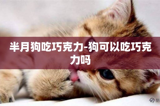半月狗吃巧克力-狗可以吃巧克力嗎