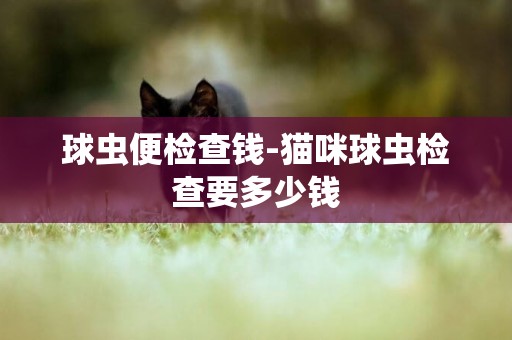 球蟲便檢查錢-貓咪球蟲檢查要多少錢