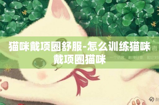 貓咪戴項圈舒服-怎么訓練貓咪戴項圈貓咪