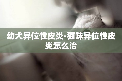 幼犬異位性皮炎-貓咪異位性皮炎怎么治