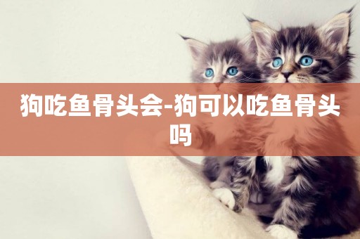 狗吃魚骨頭會-狗可以吃魚骨頭嗎