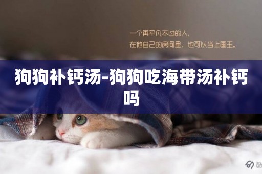 狗狗補鈣湯-狗狗吃海帶湯補鈣嗎