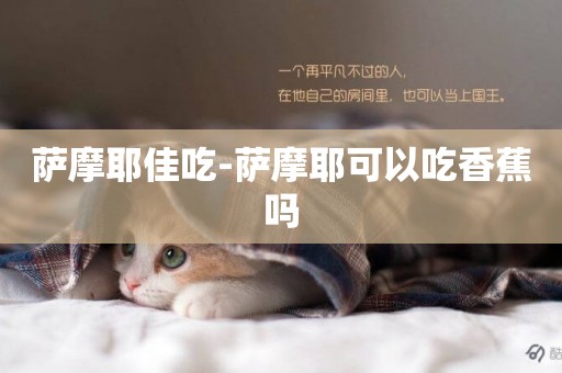 薩摩耶佳吃-薩摩耶可以吃香蕉嗎
