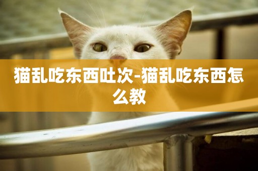 貓亂吃東西吐次-貓亂吃東西怎么教