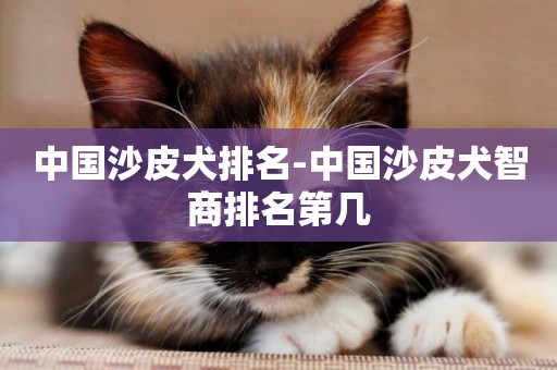 中國沙皮犬排名-中國沙皮犬智商排名第幾