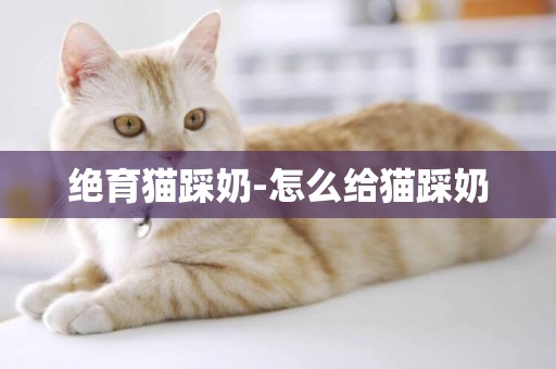 絕育貓踩奶-怎么給貓踩奶