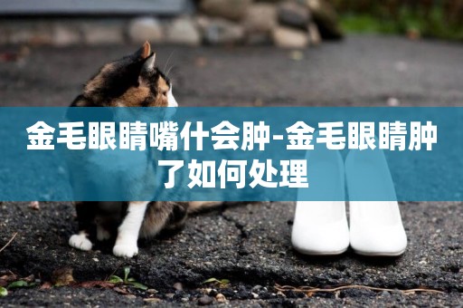 金毛眼睛嘴什會腫-金毛眼睛腫了如何處理