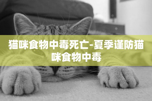 貓咪食物中毒死亡-夏季謹防貓咪食物中毒