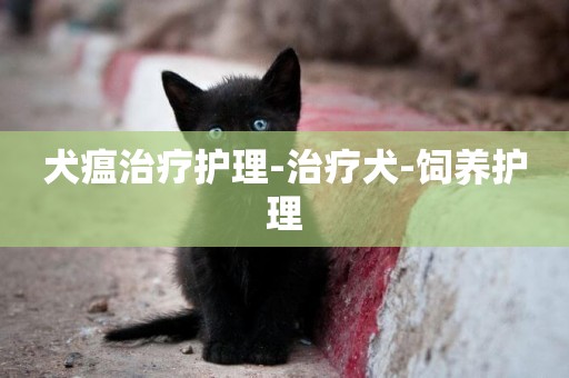 犬瘟治療護理-治療犬-飼養護理