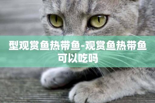 型觀賞魚熱帶魚-觀賞魚熱帶魚可以吃嗎