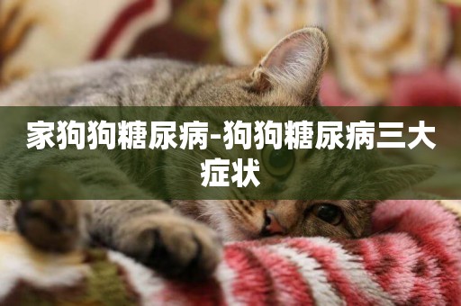 家狗狗糖尿病-狗狗糖尿病三大癥狀