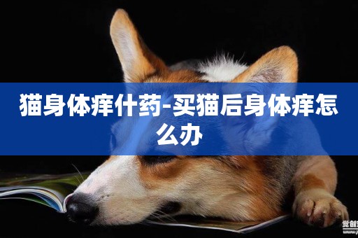 貓身體癢什藥-買貓后身體癢怎么辦