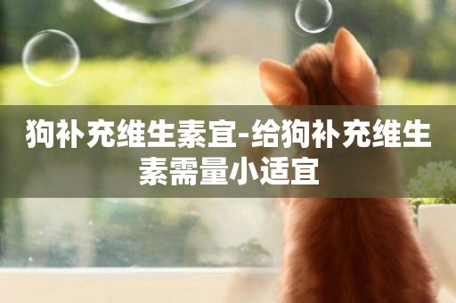 狗補充維生素宜-給狗補充維生素需量小適宜