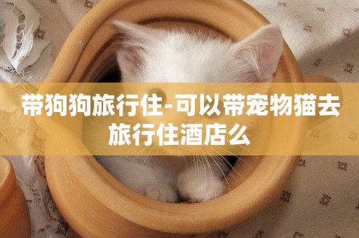 帶狗狗旅行住-可以帶寵物貓去旅行住酒店么